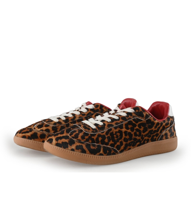 Sacha Sneaker