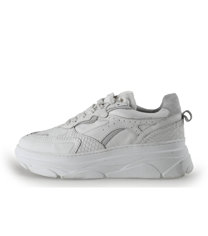 Sacha Sneaker
