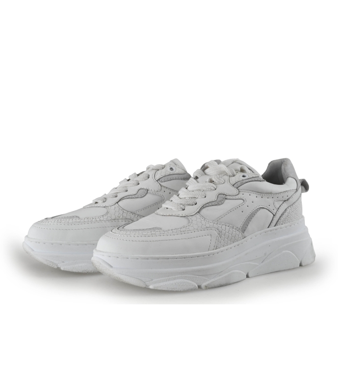 Sacha Sneaker