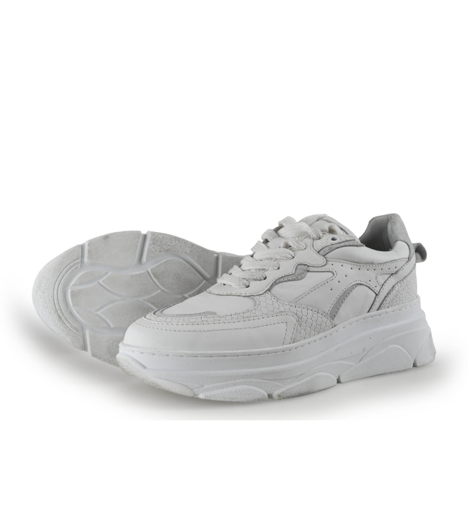 Sacha Sneaker