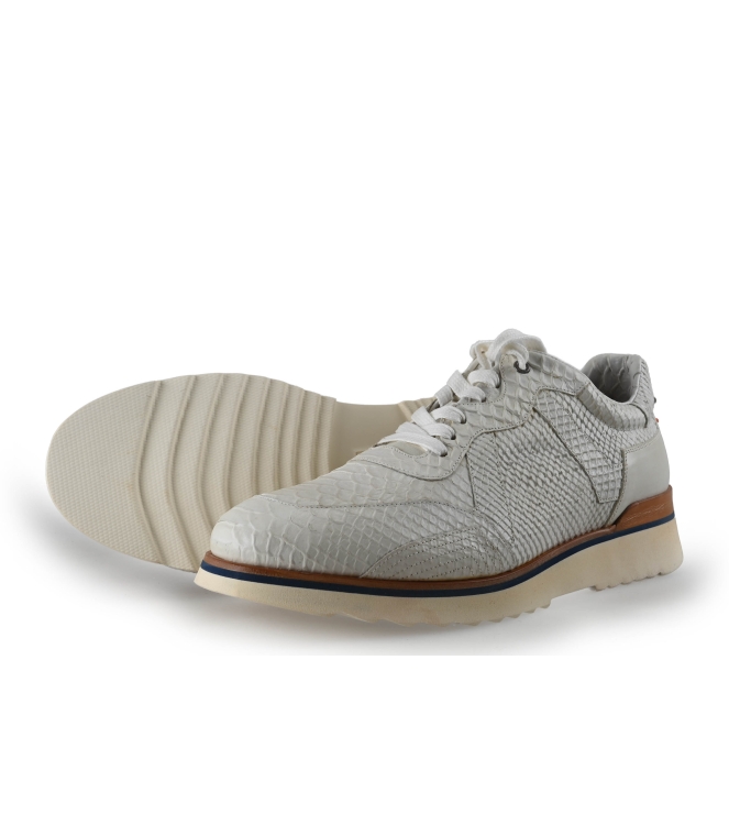Greve Sneaker