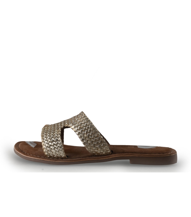 Lazamani Flip-Flops