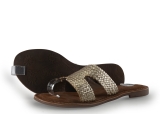 Lazamani Flip-Flops