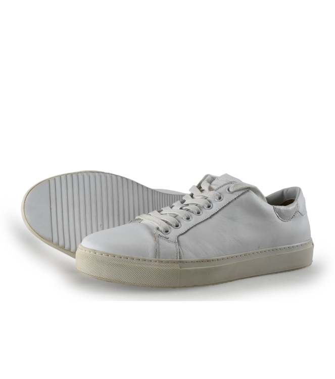 Greve Sneaker