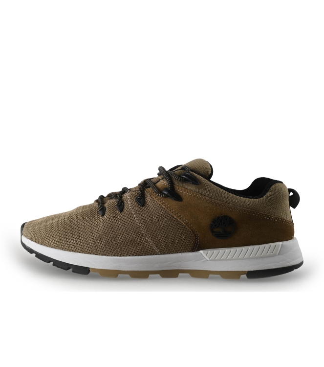 Timberland Sneaker