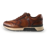 Greve Sneaker