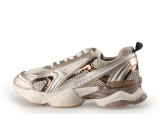 Steve Madden Sneaker