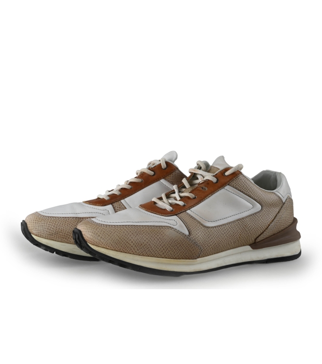 Greve Sneaker