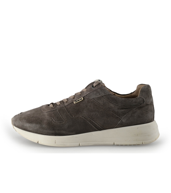 Greve Sneaker