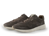 Greve Sneaker