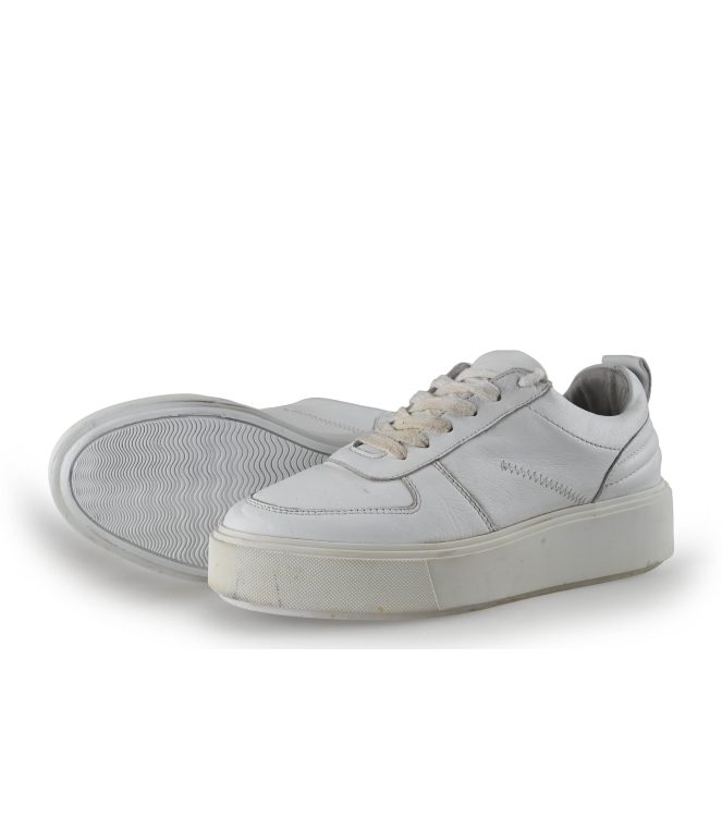 Sacha Sneaker