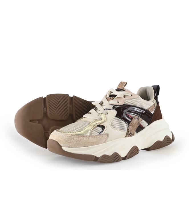 Sacha Sneaker