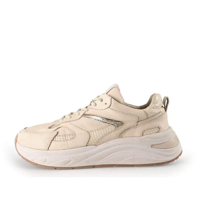Manfield Sneaker