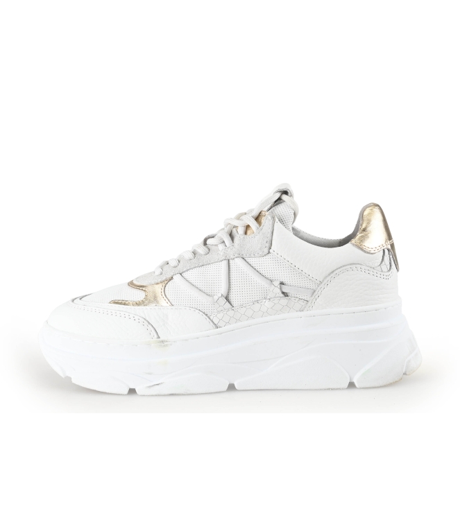 Sacha Sneaker