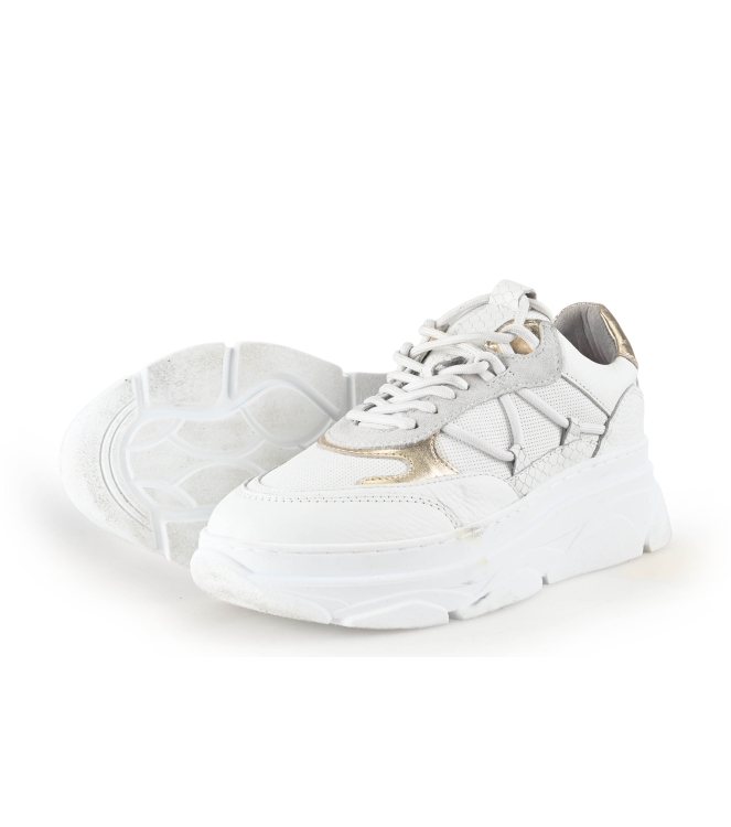 Sacha Sneaker