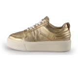 Sacha Sneaker