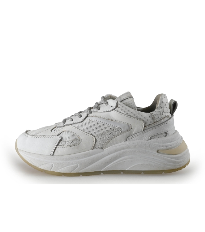 Manfield Sneaker