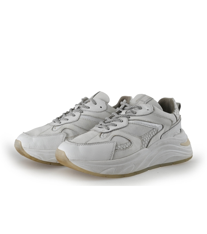 Manfield Sneaker