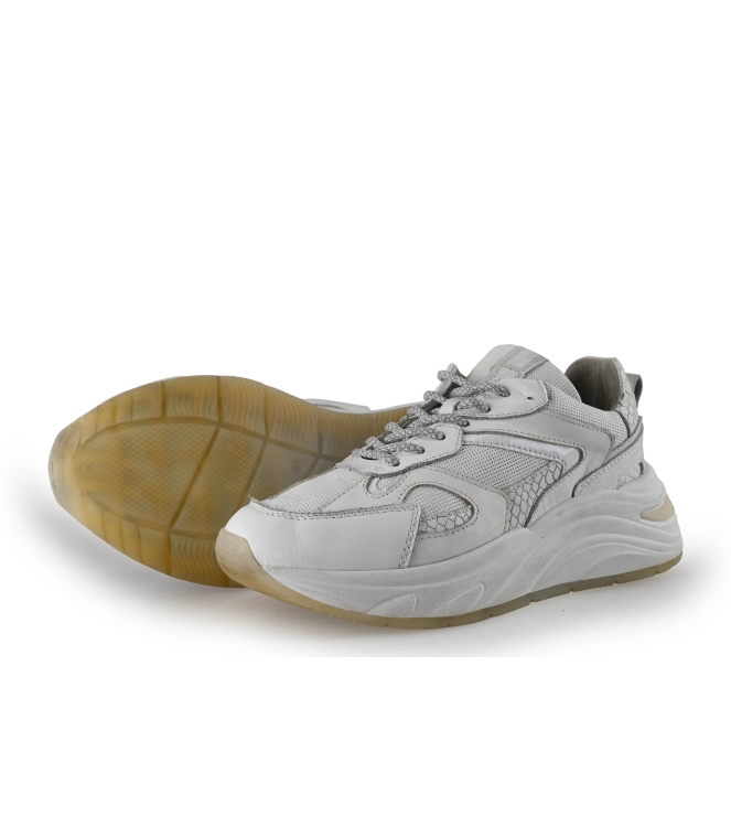 Manfield Sneaker