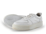 Sacha Sneaker