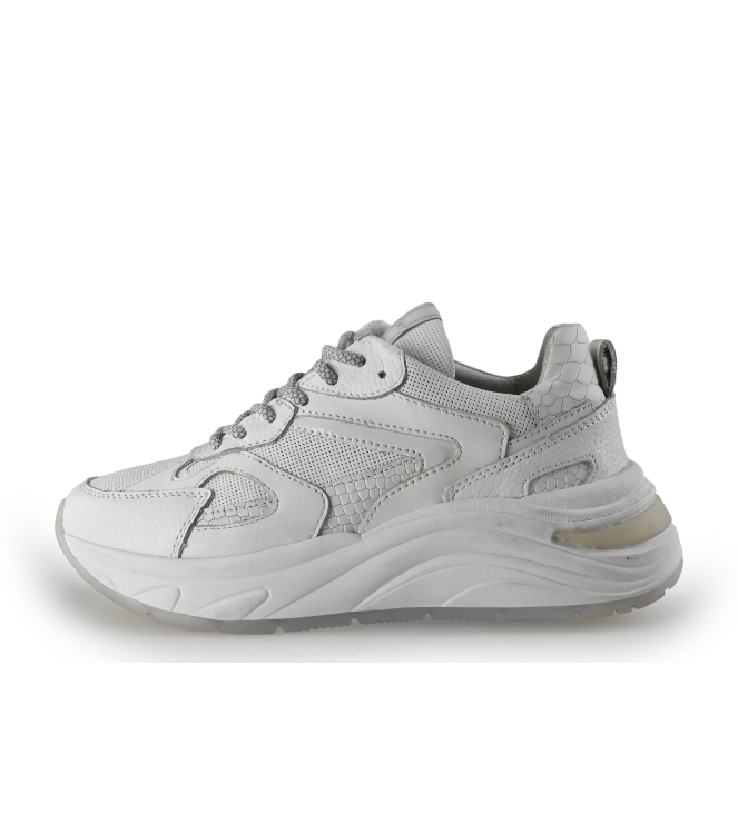 Manfield Sneaker