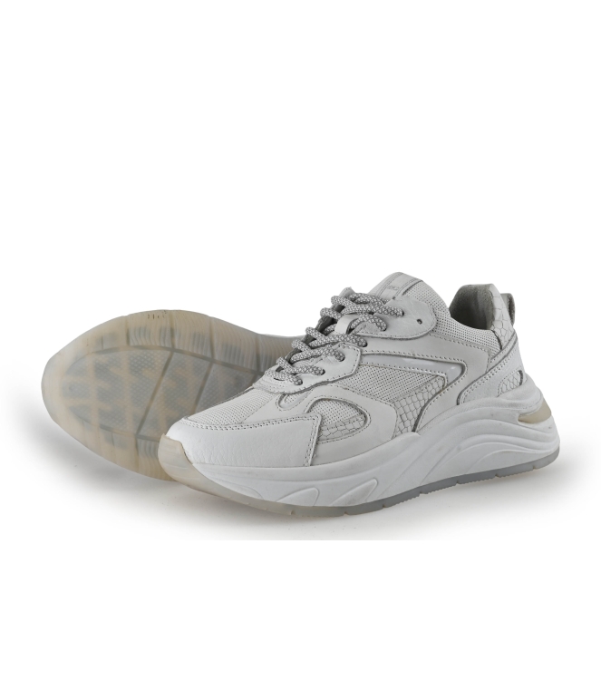 Manfield Sneaker