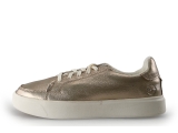 Timberland Sneaker