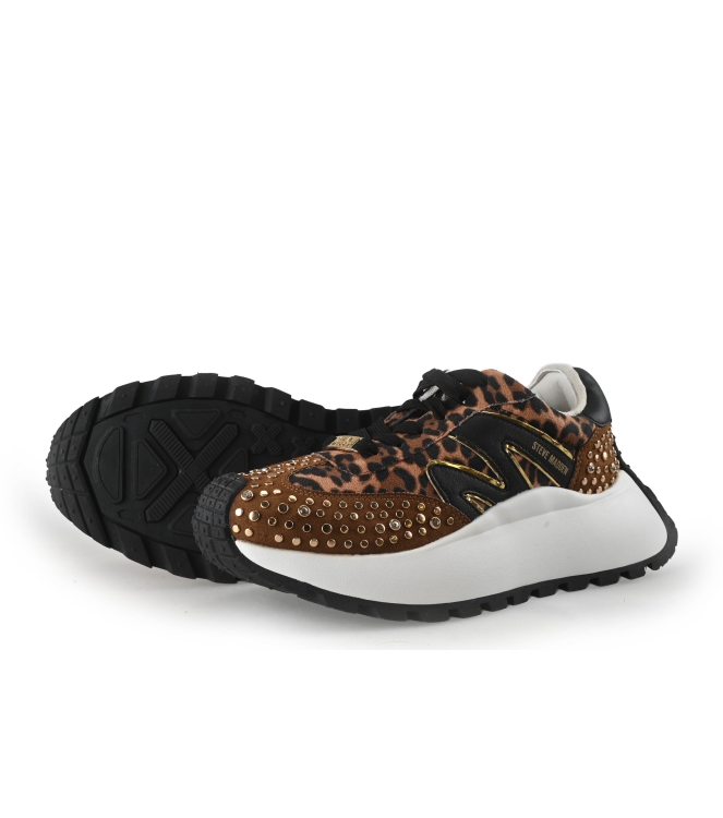 Steve Madden Sneaker