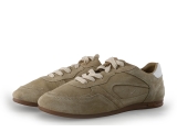 Maruti Sneaker