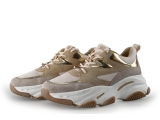 Steve Madden Sneaker