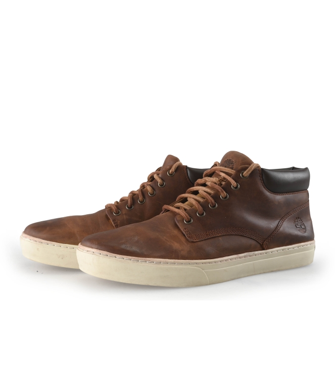Timberland Sneaker