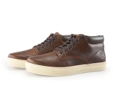 Timberland Sneaker
