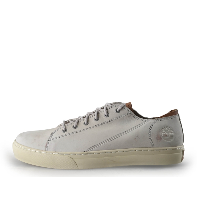 Timberland Sneaker
