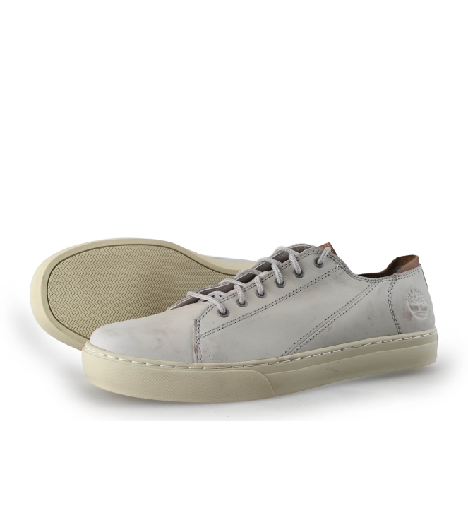Timberland Sneaker