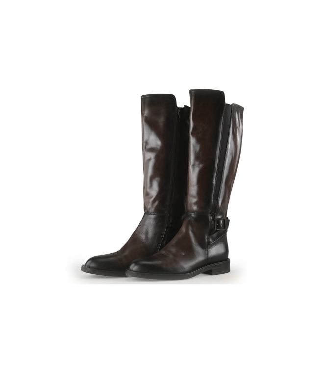 Nelson Stiefel