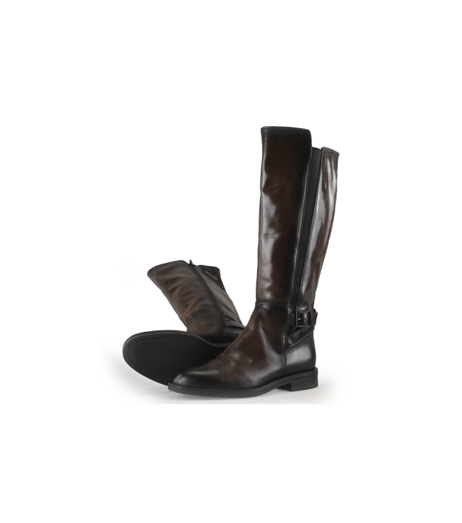 Nelson Stiefel