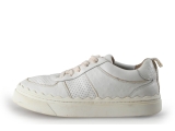 Chloe Sneaker