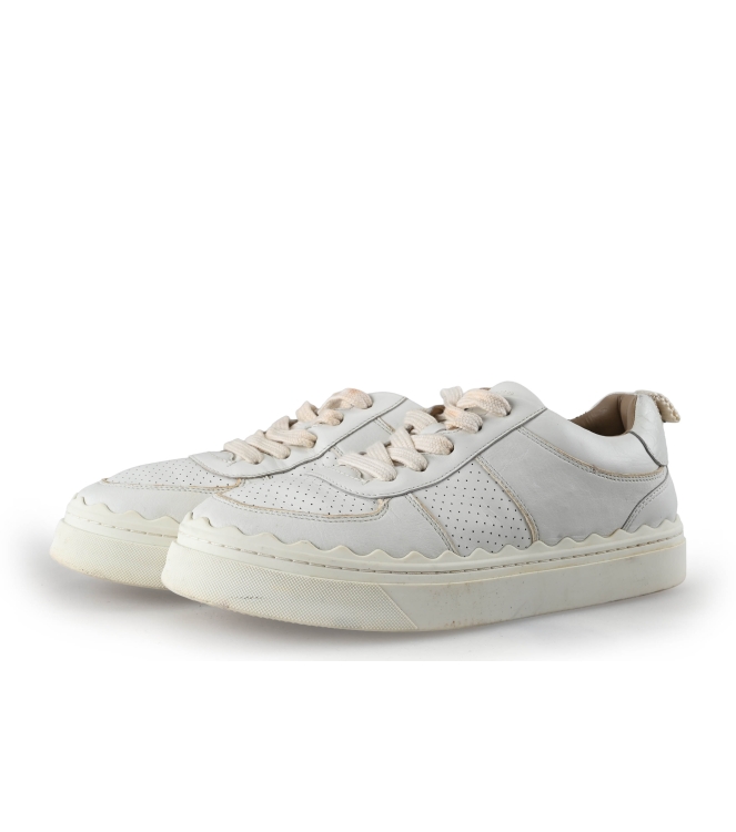 Chloe Sneaker