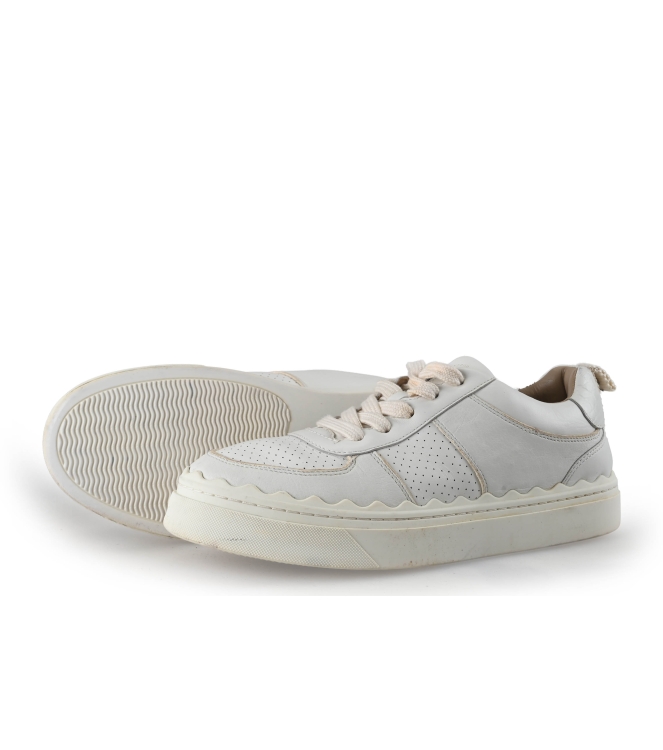 Chloe Sneaker