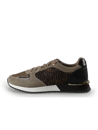 Mexx Sneaker Braun 357533
 Größe 38
 