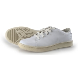 Timberland Sneaker