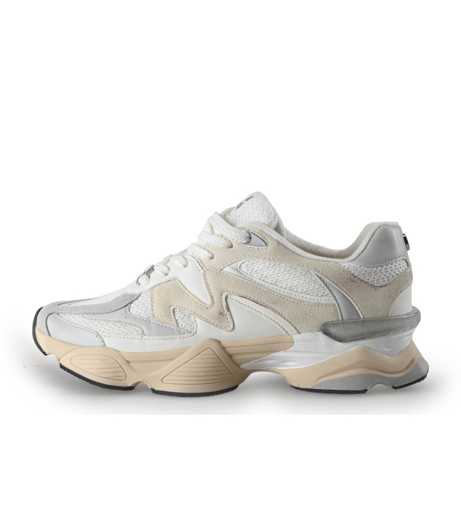 Steve Madden Sneaker