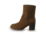 Nelson Stiefel