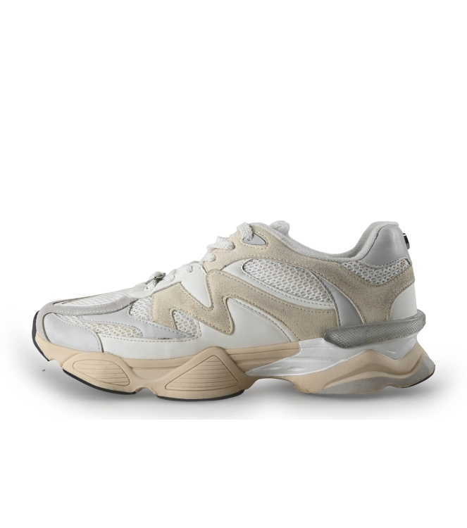 Steve Madden Sneaker