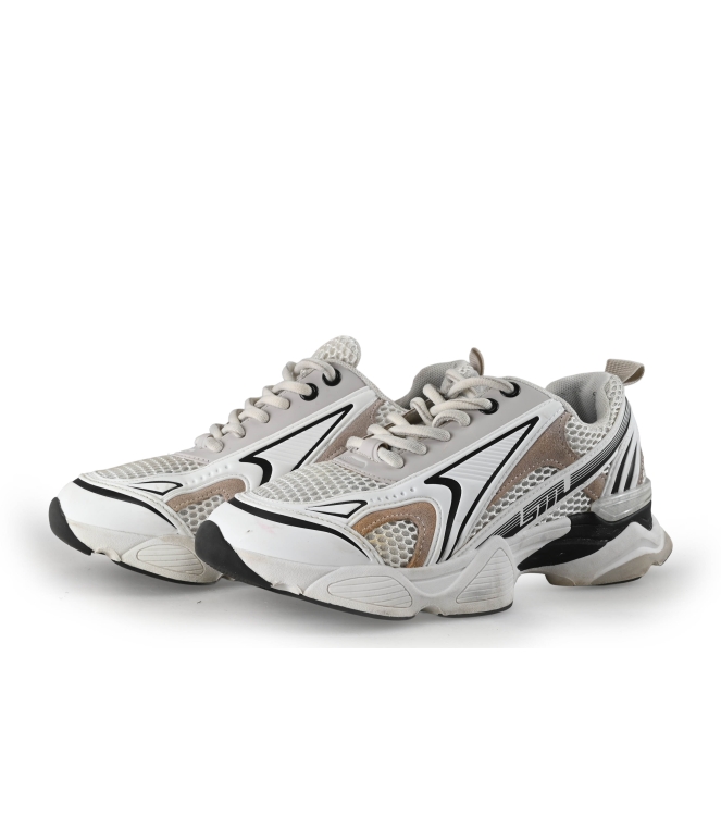 Steve Madden Sneaker