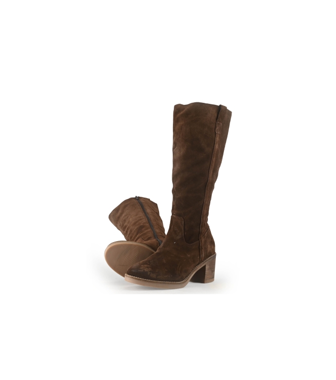 Nelson Stiefel