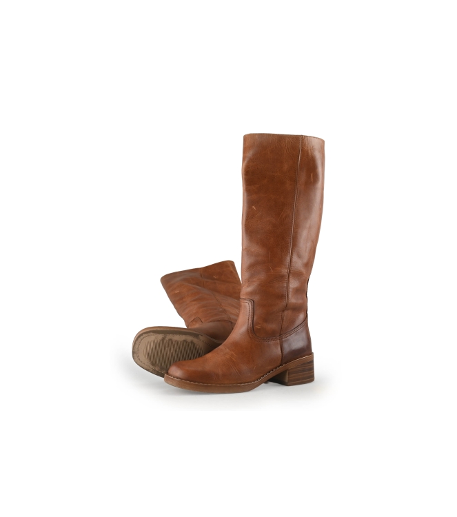 Nelson Stiefel