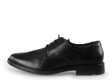 Lloyd Schnürschuhe