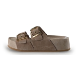 Colors of California Mules Pantoletten