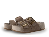 Colors of California Mules Pantoletten